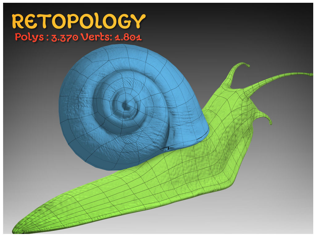 The Snail on rock Low-poly 3D model_17