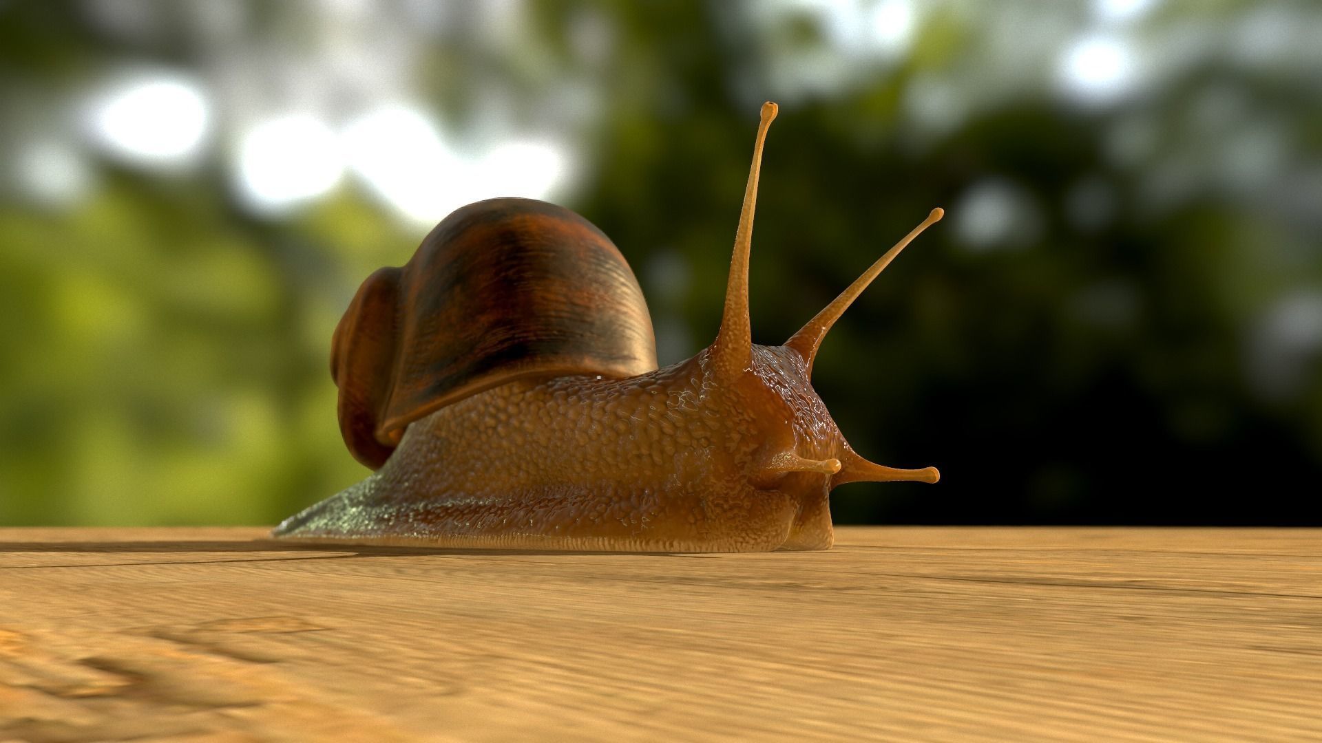 The Snail on rock Low-poly 3D model_27