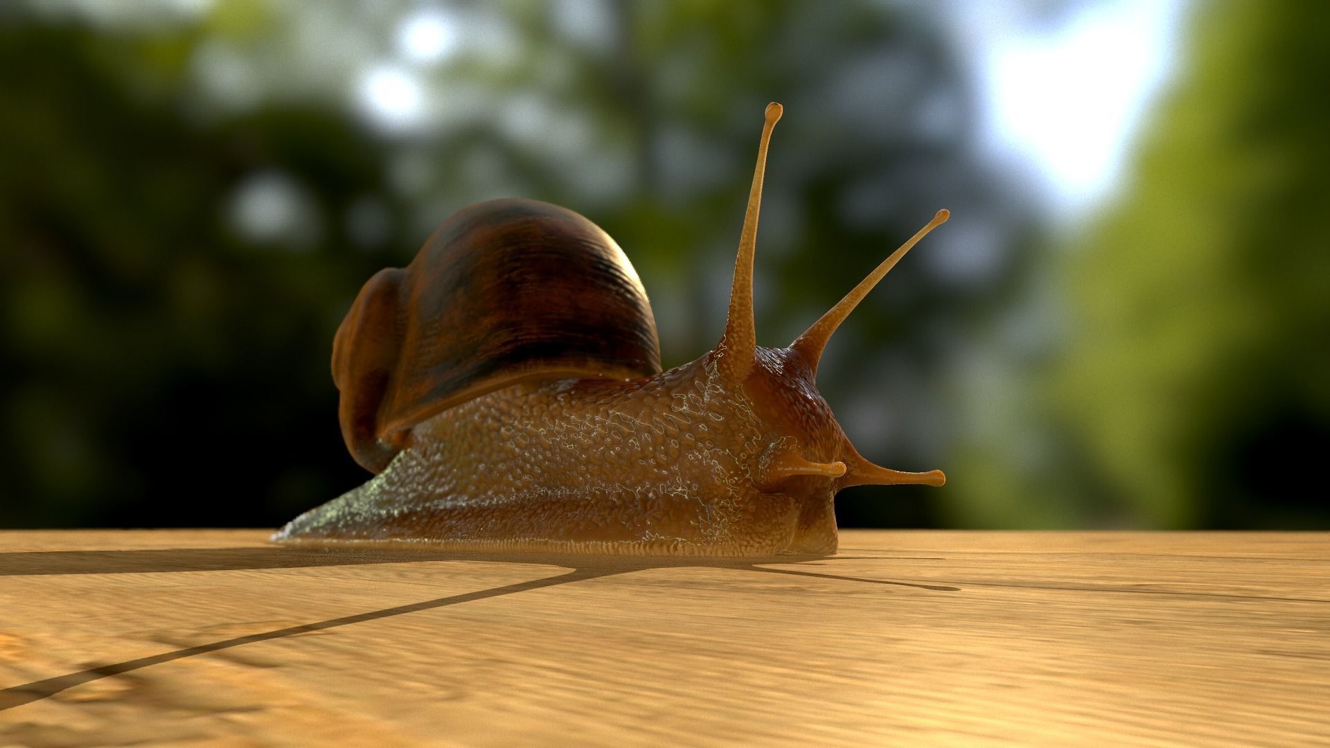 The Snail on rock Low-poly 3D model_25