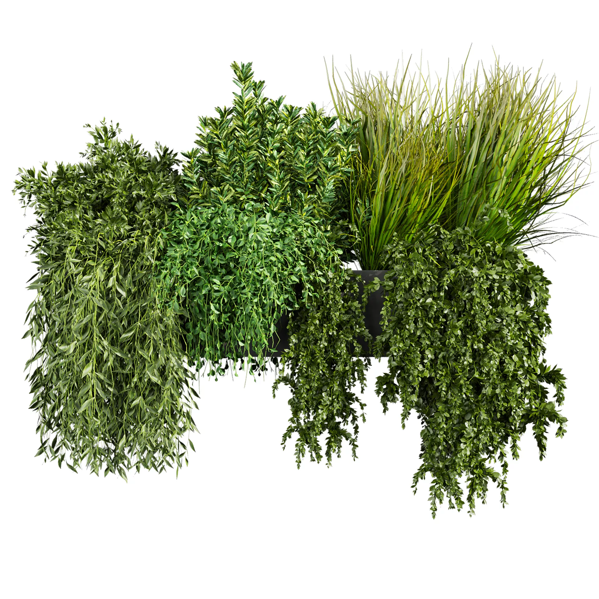 plant vol 1048 - Indoor - balcony - ampelous 3D model