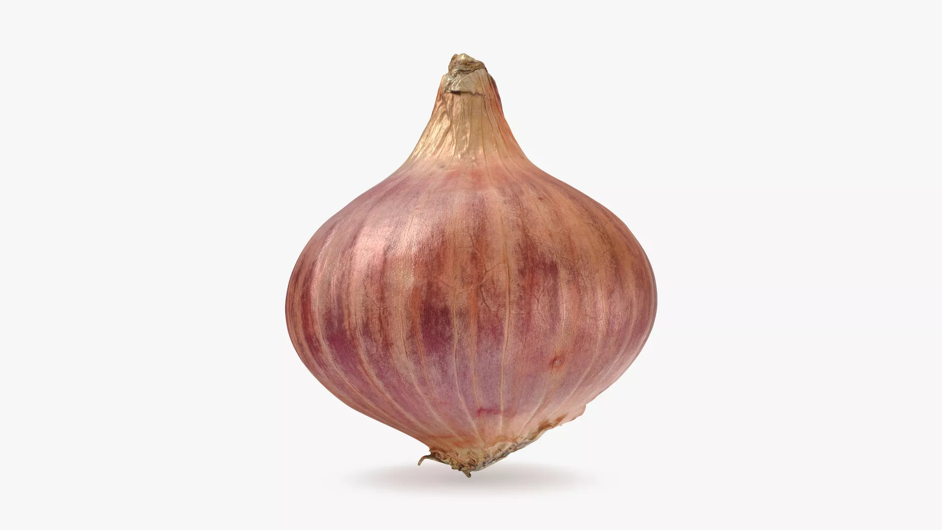 Shallot 01 Low-poly 3D model