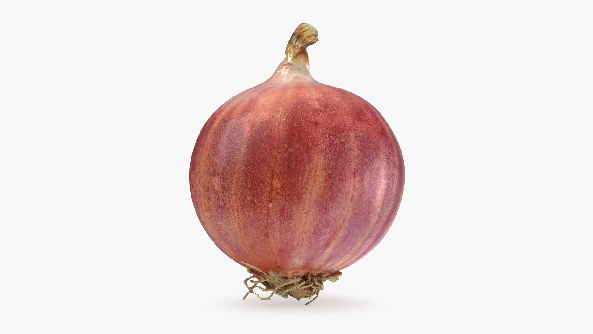 Shallot 02 Low-poly 3D model