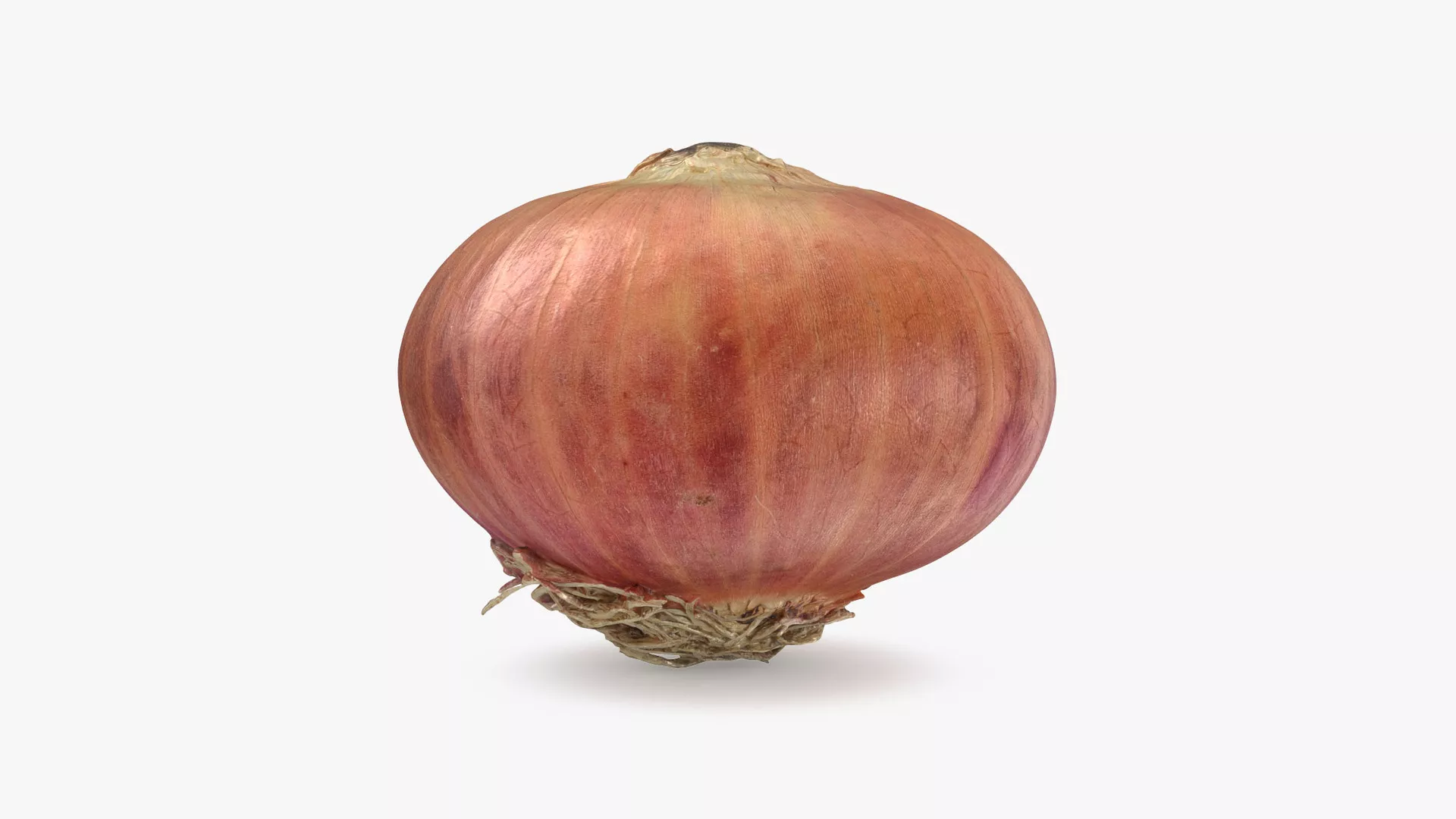 Shallot 03 Low-poly 3D model