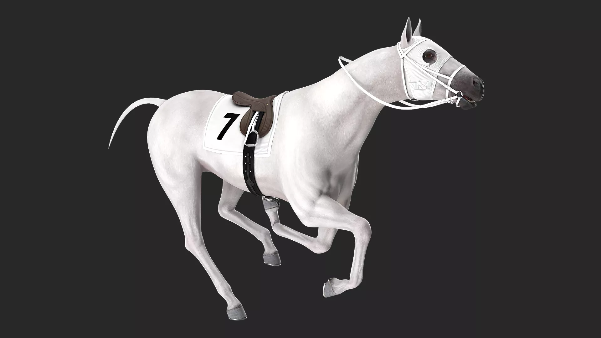 Racehorse White Rigged 3D model