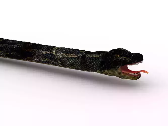 Snake 3D model