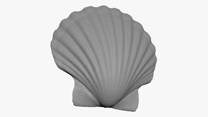 Clam Shell - For 3D Print