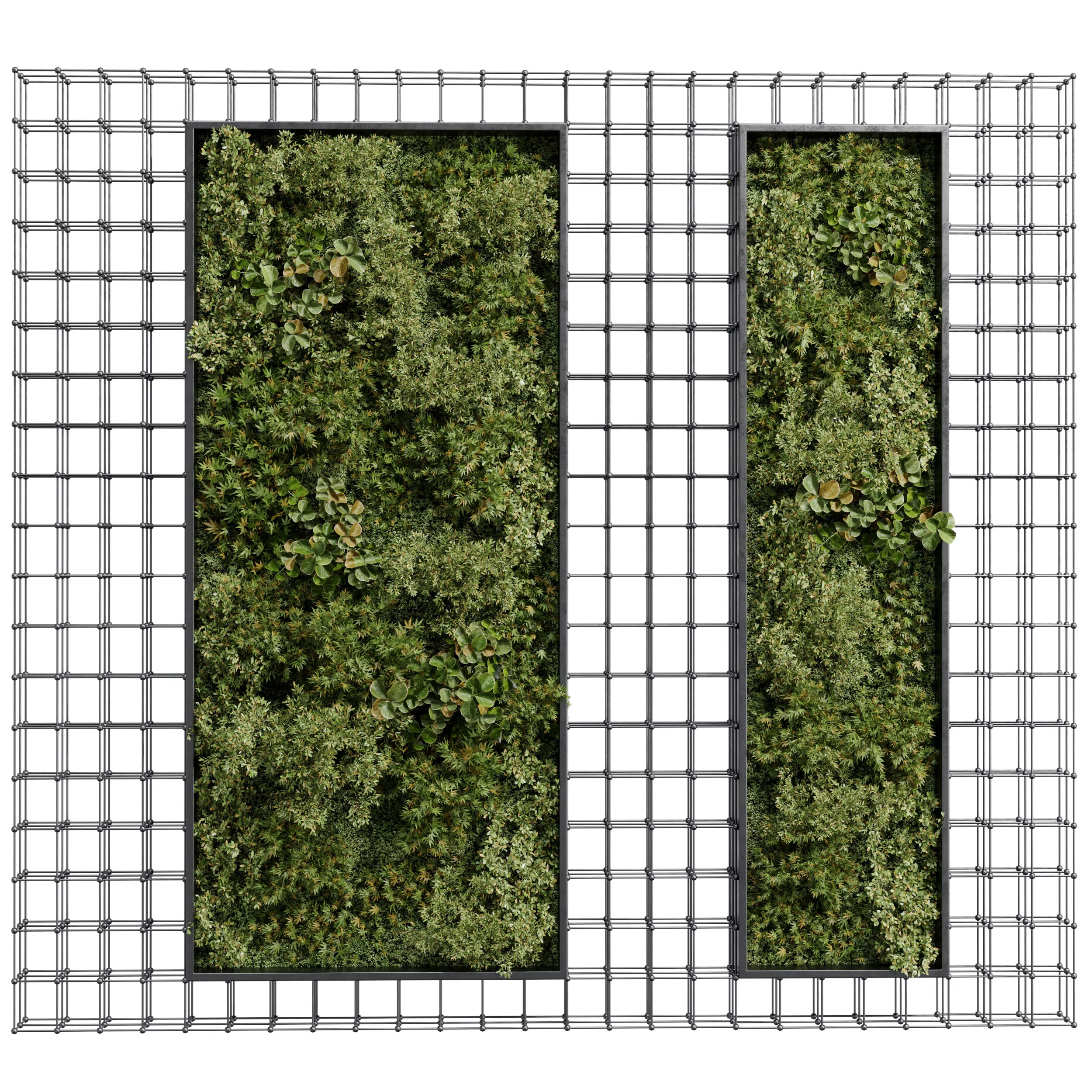 plants set partition in metal Vertical graden wall decor box 135 3D model