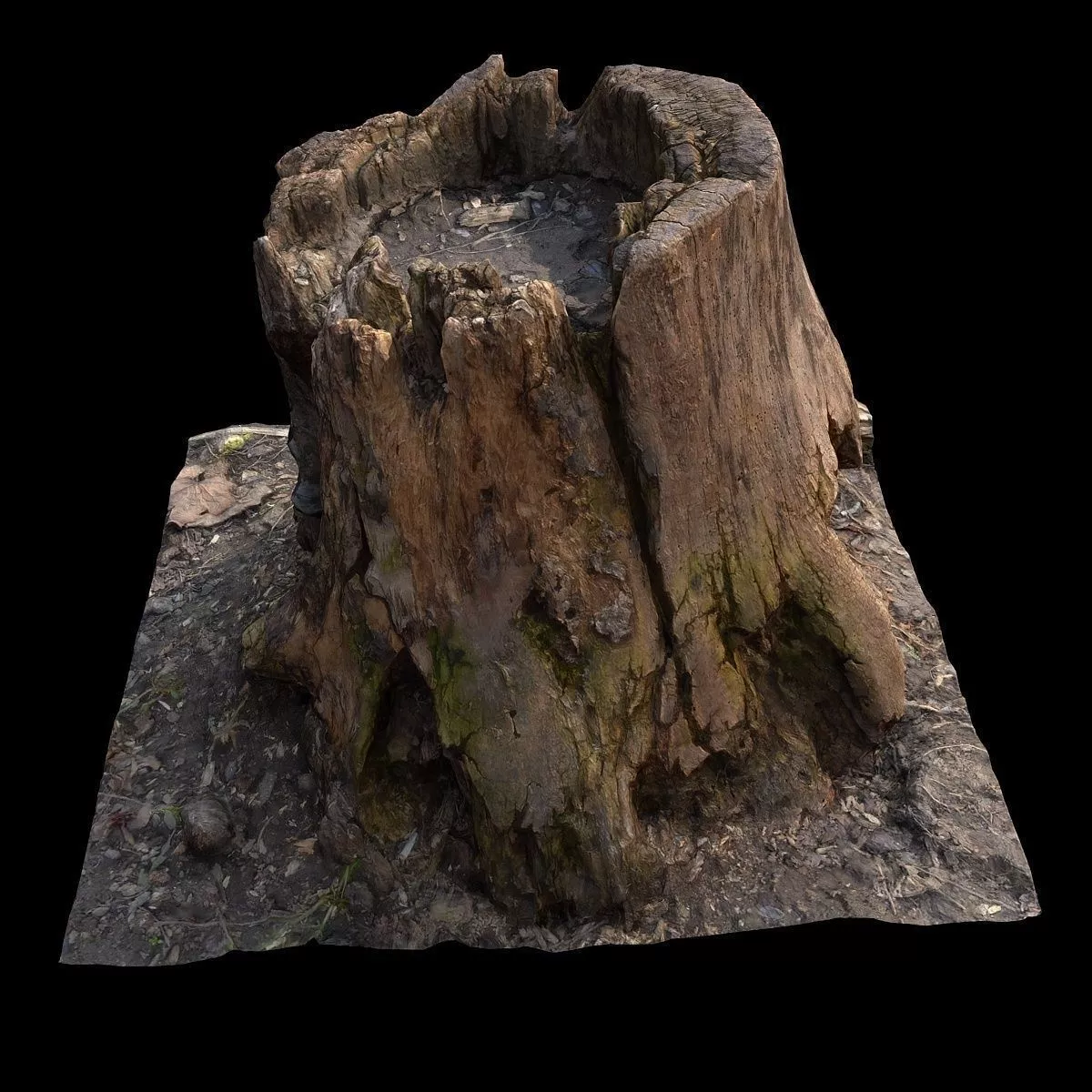 Old Stump Low-poly 3D model