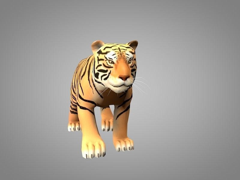 Tiger Low-poly 3D model_1