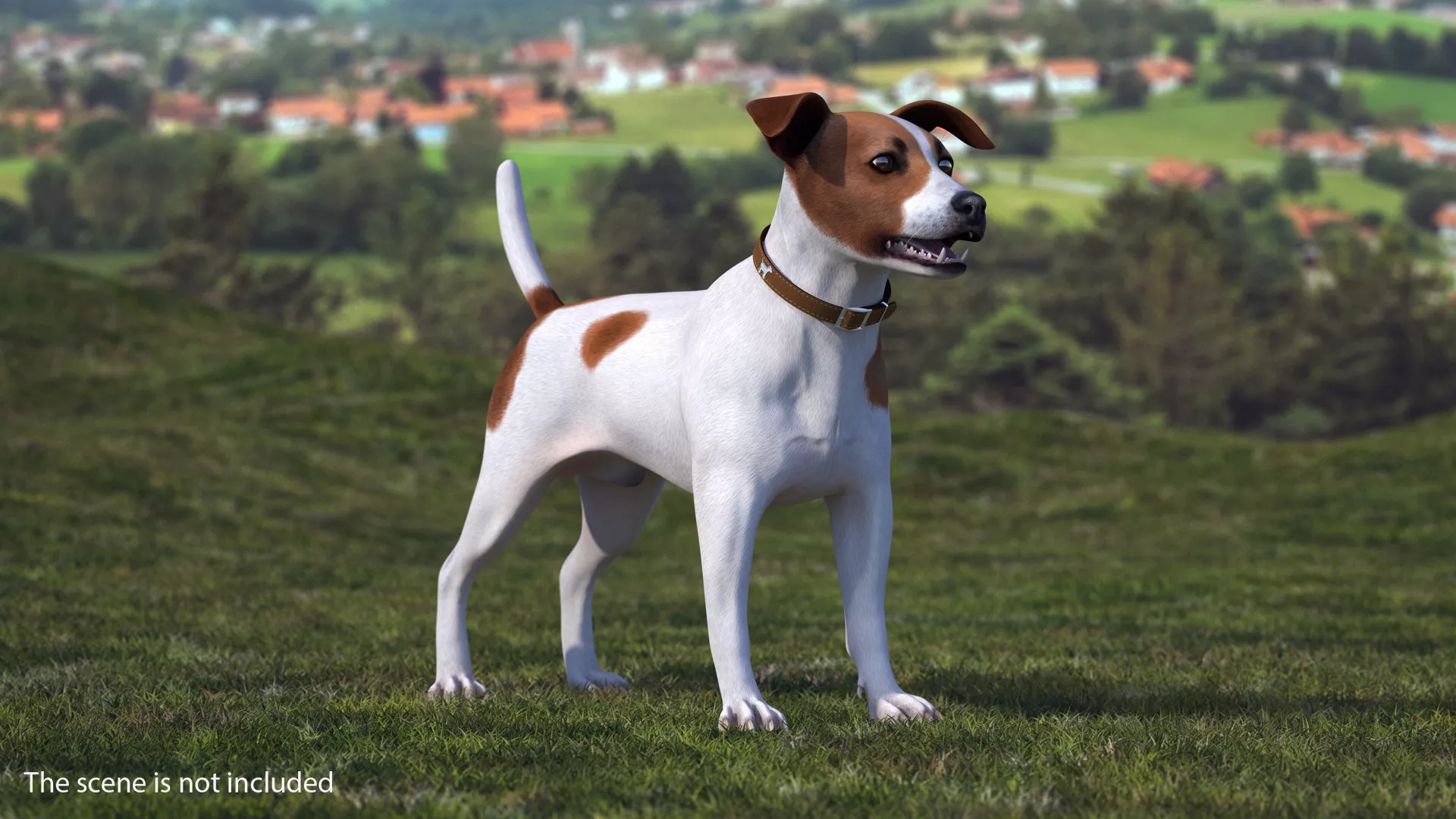 Spotted Jack Russell Terrier 3D model