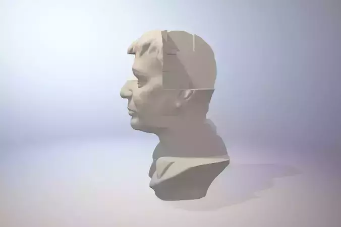 Doctor R bust 3D print model