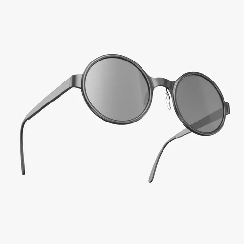 Glasses 3D Model