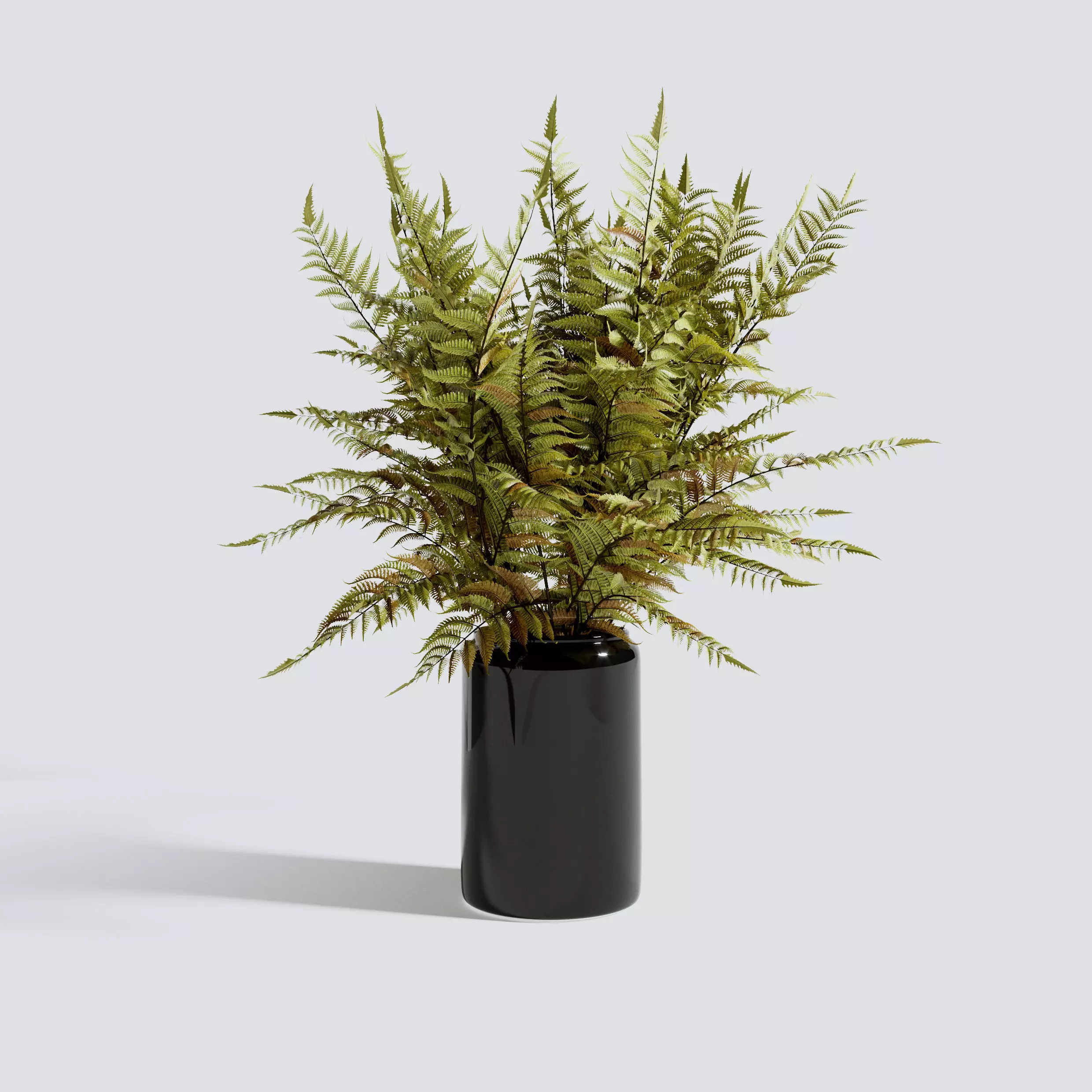 Autumn Fern Stem 3D model_0