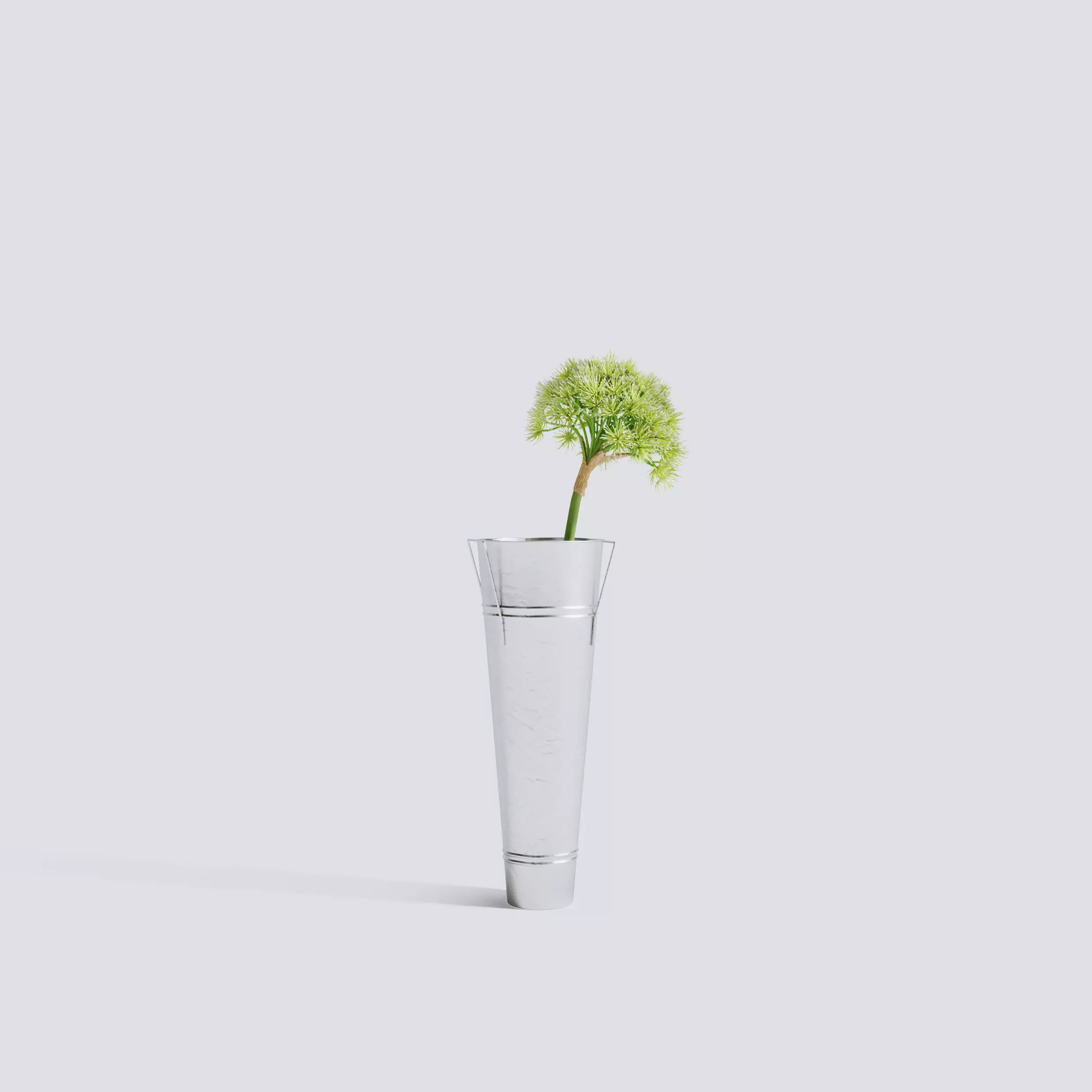 White Allium 3D model