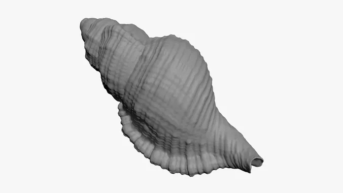 Monoplex Pilearis - For 3D Print