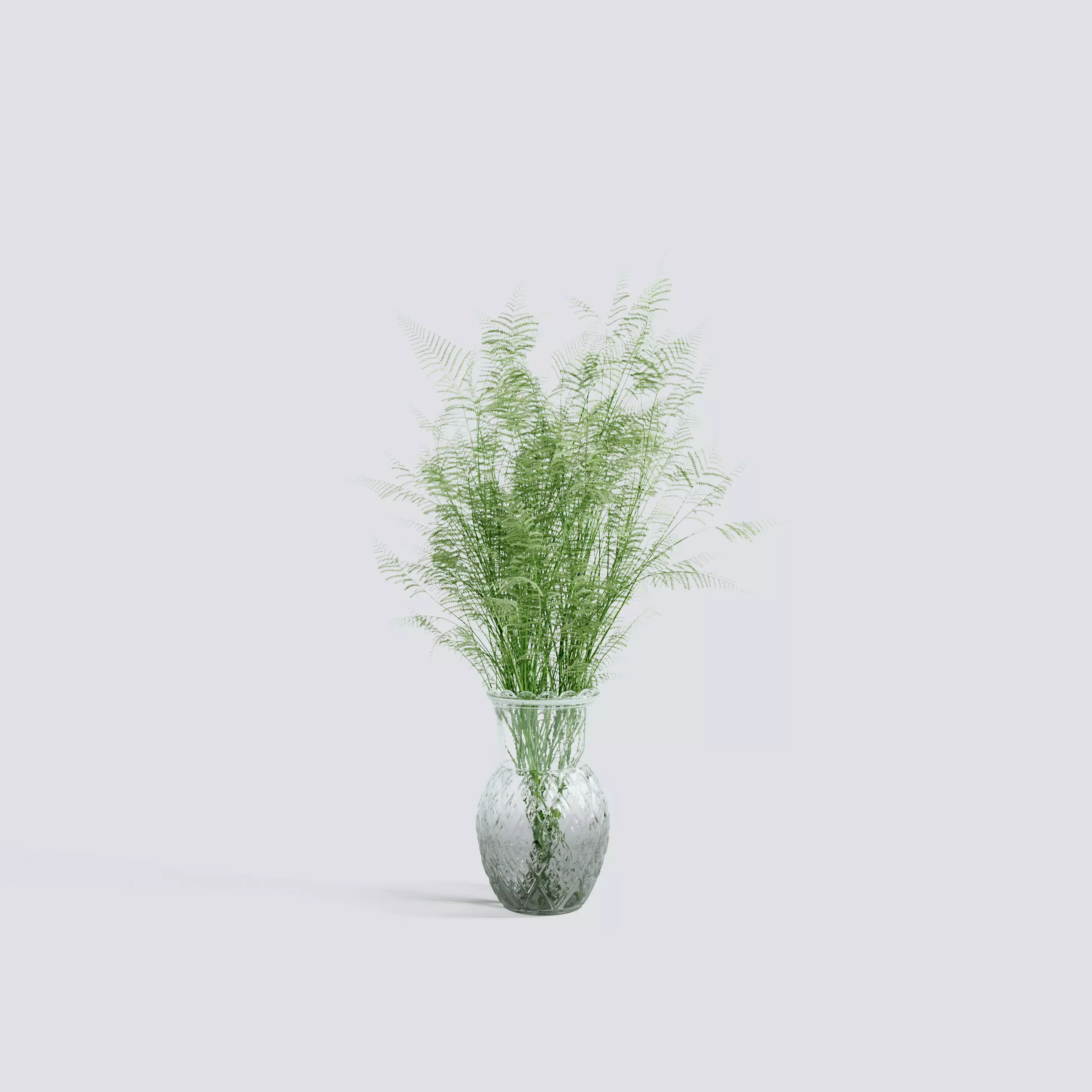 Fern Bush 3D model_0