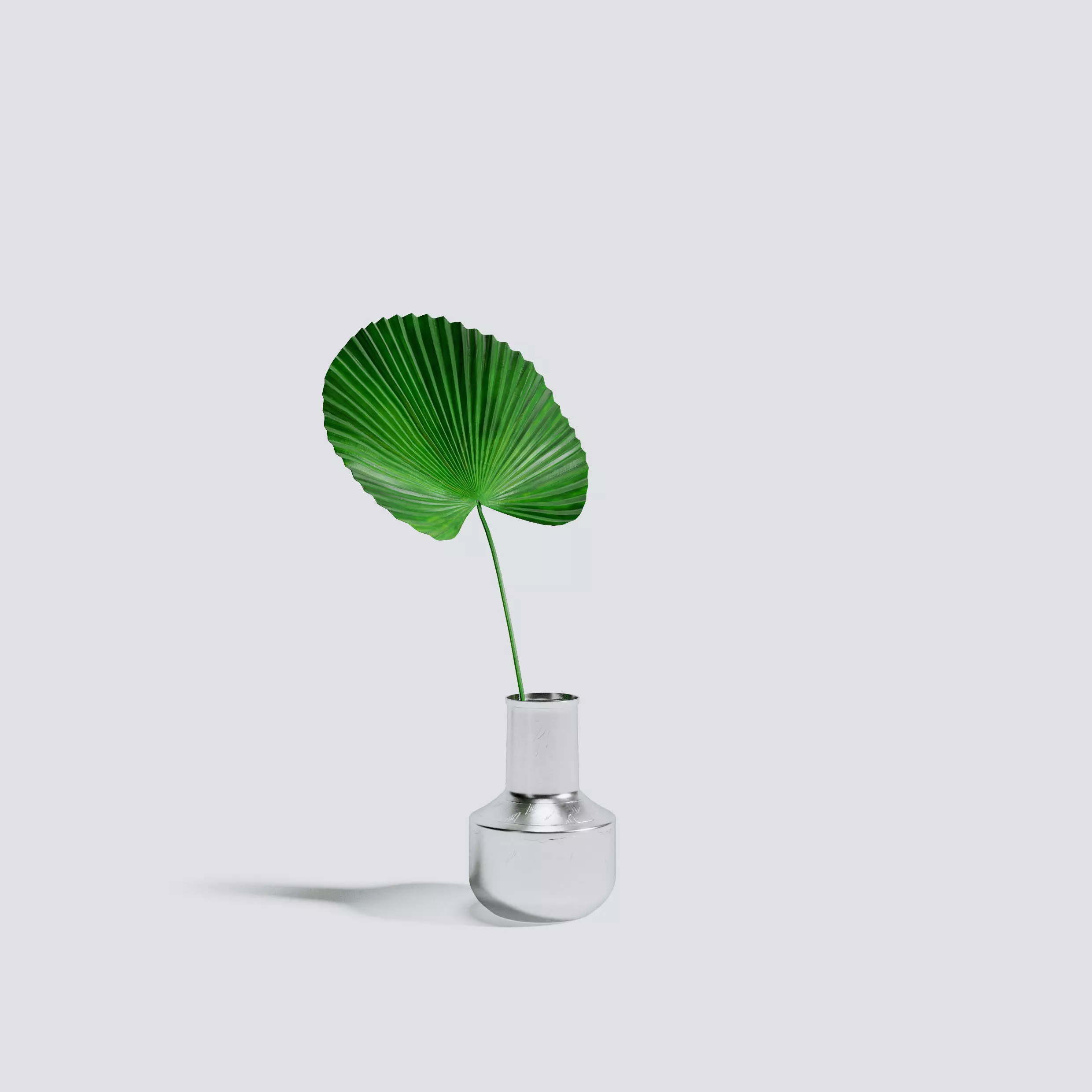 Palm Leaf 3D model