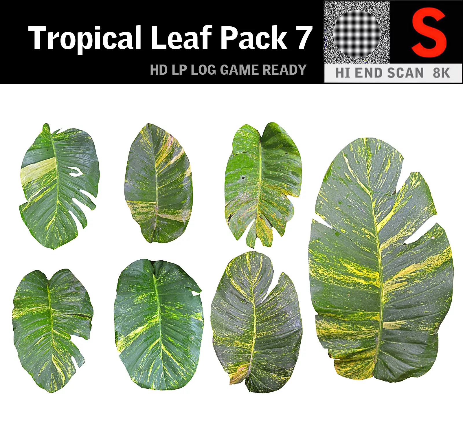 Tropical Leaf Pack 7 Low-poly 3D model