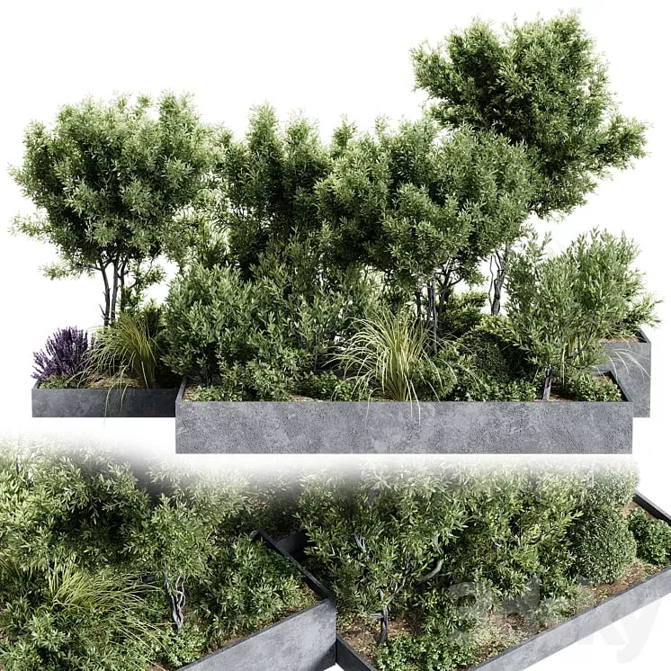Outdoor Plants Collection Free 3D model
