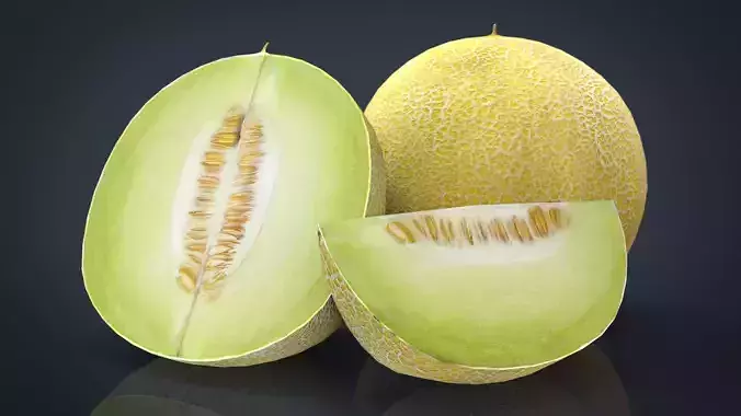 GALIA MELON