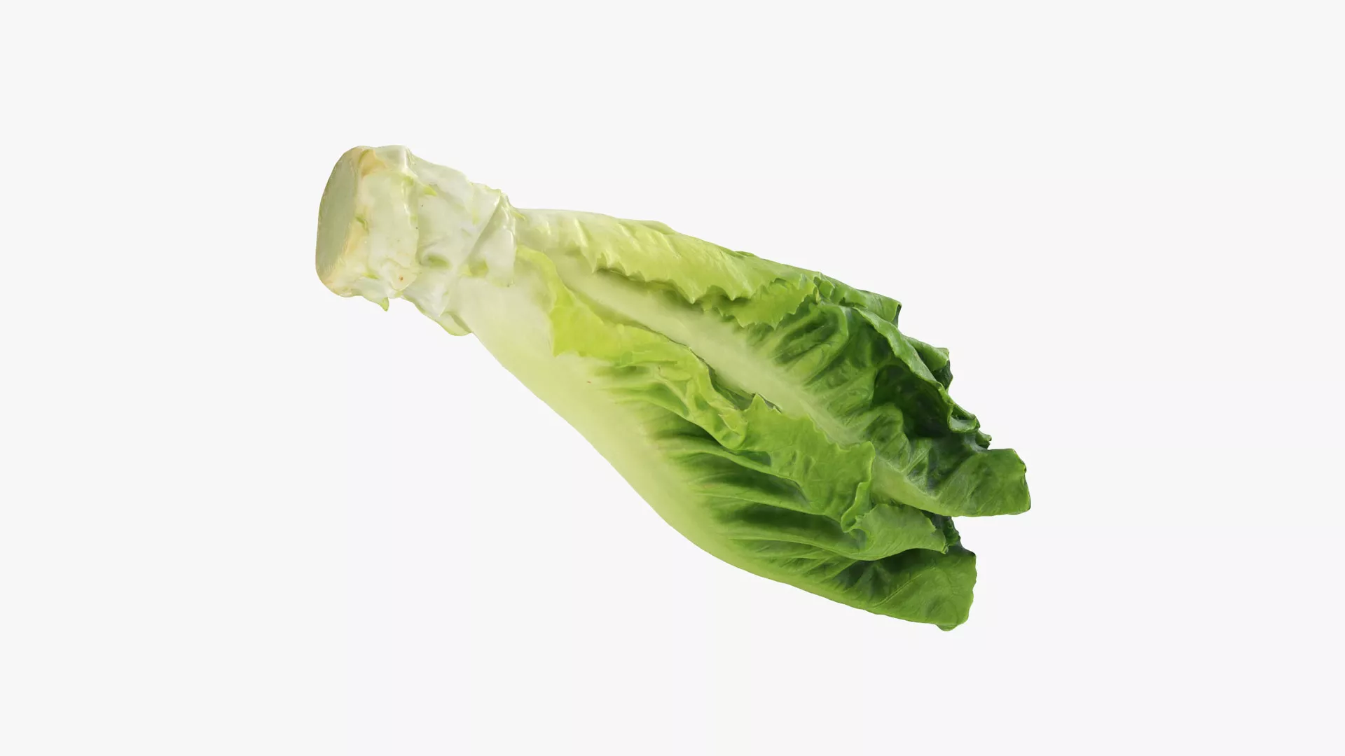 Romaine Lettuce Heart Low-poly 3D model