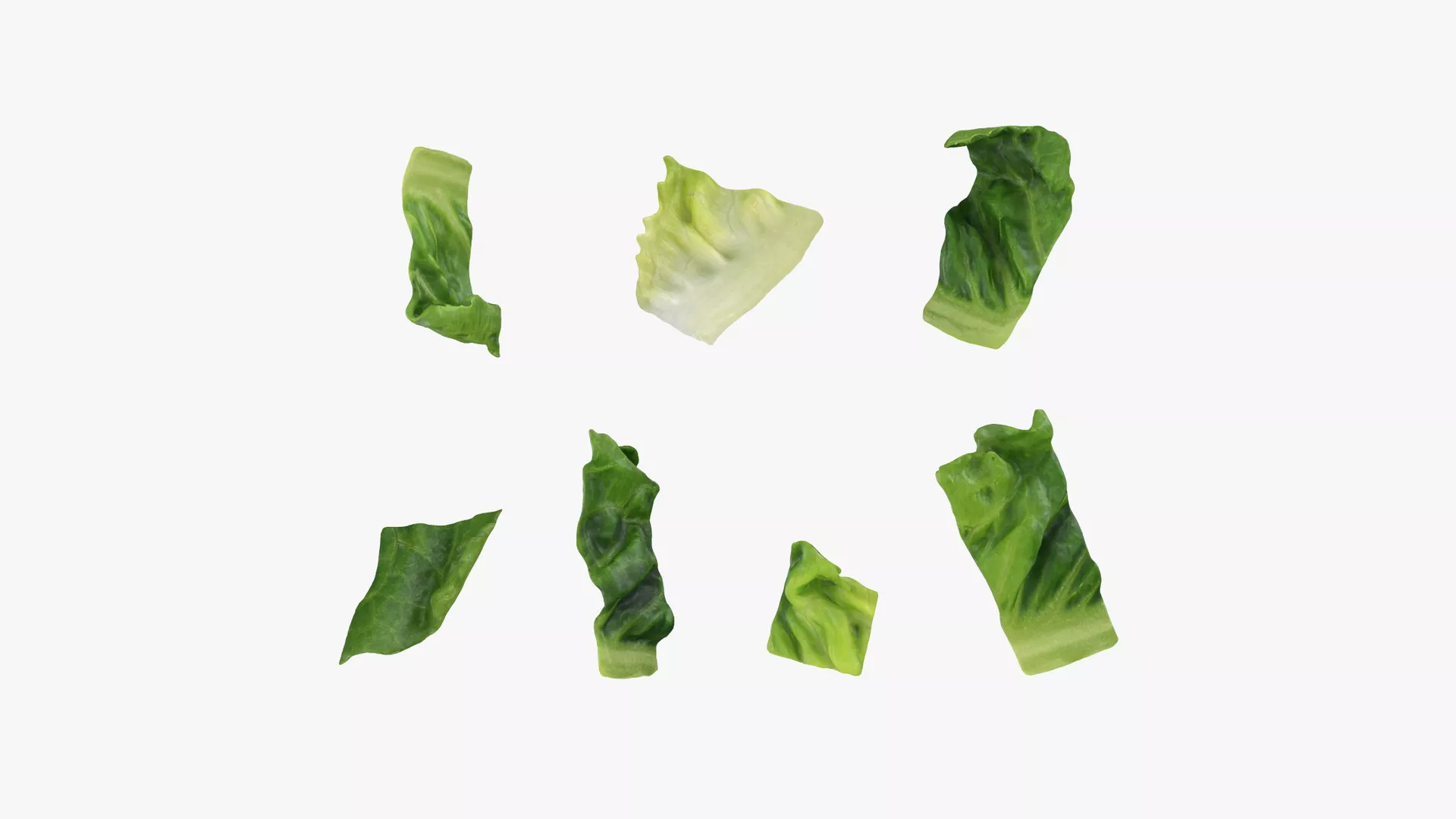 Chopped Lettuce Low-poly 3D model