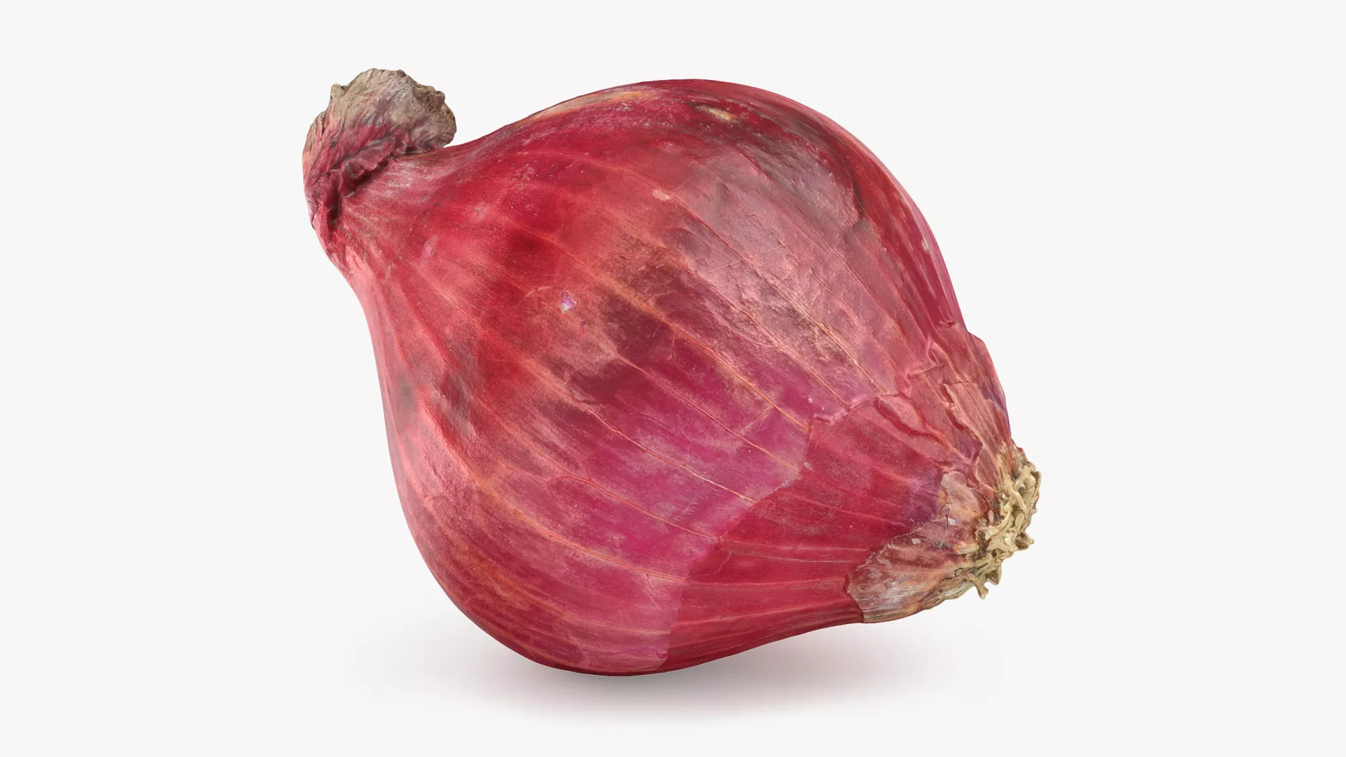 Whole Red Onion Low-poly 3D model