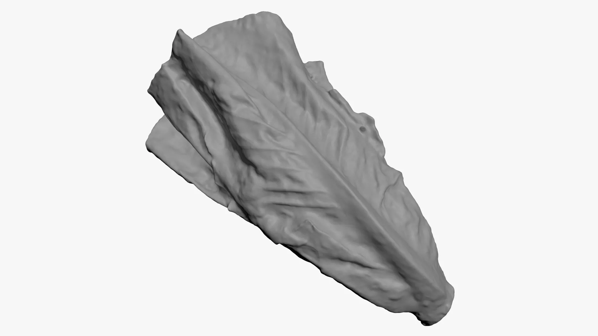 Romaine Lettuce 02 - For 3D Print 3D print model