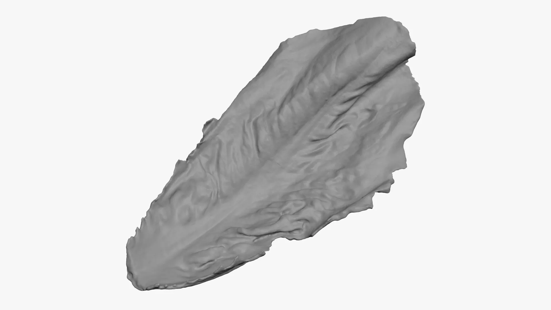 Romaine Lettuce Leaf 01 - For 3D Print 3D print model