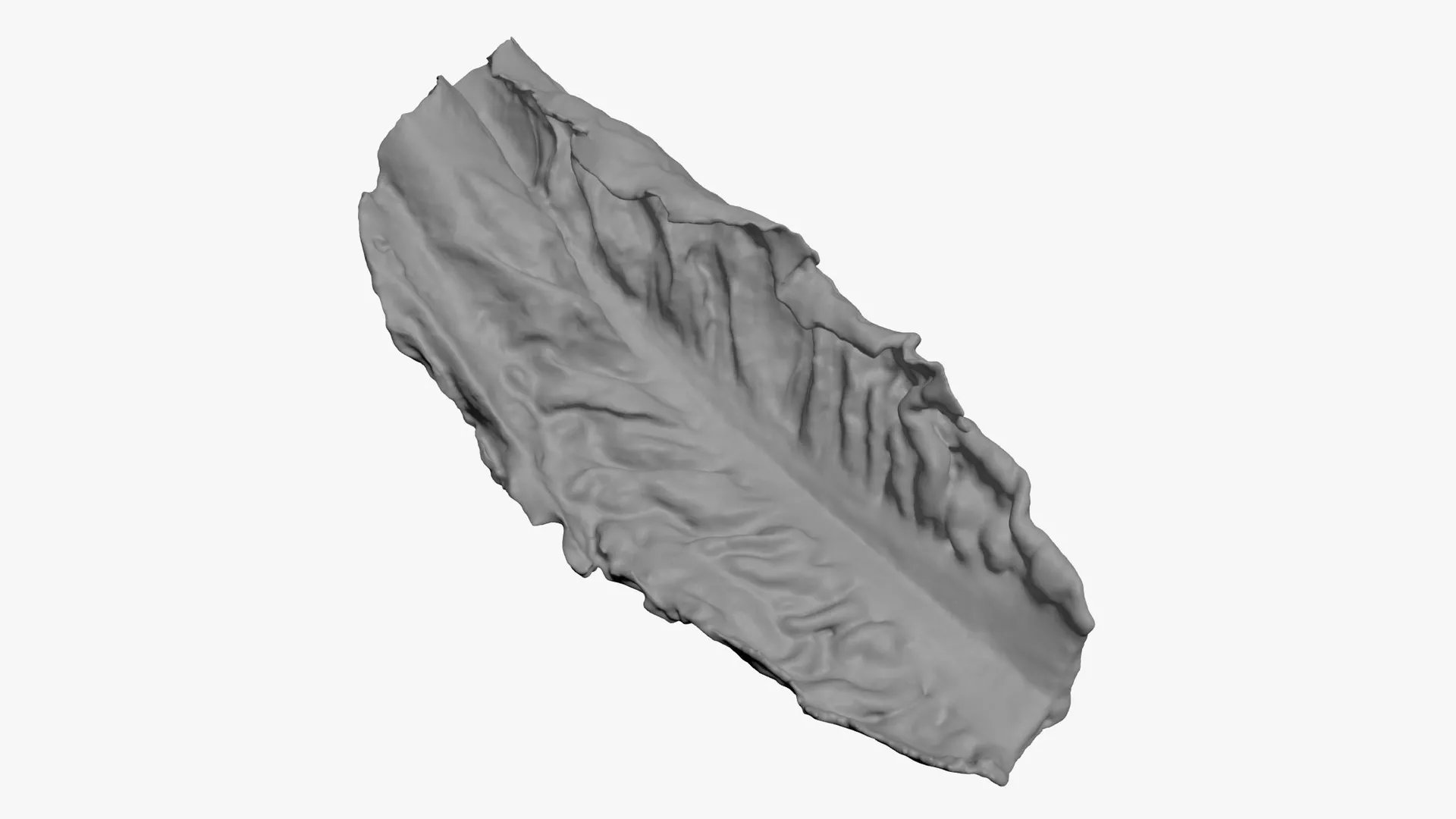 Romaine Lettuce Leaf 02 - For 3D Print 3D print model