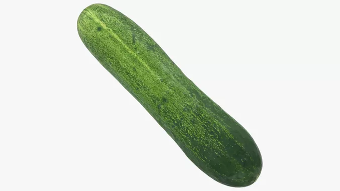 Cucumber 01