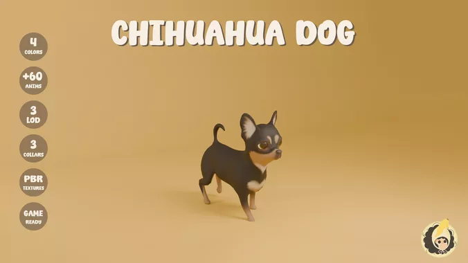 Animated Chihuahua Dog