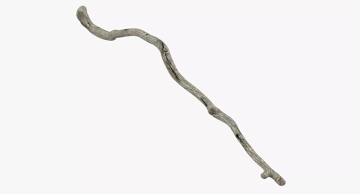 Dry Tree Branch 3D model