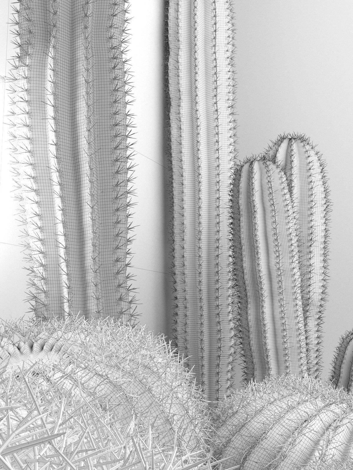 Saguaro and Golden Barrel Cactuses 3D model_4