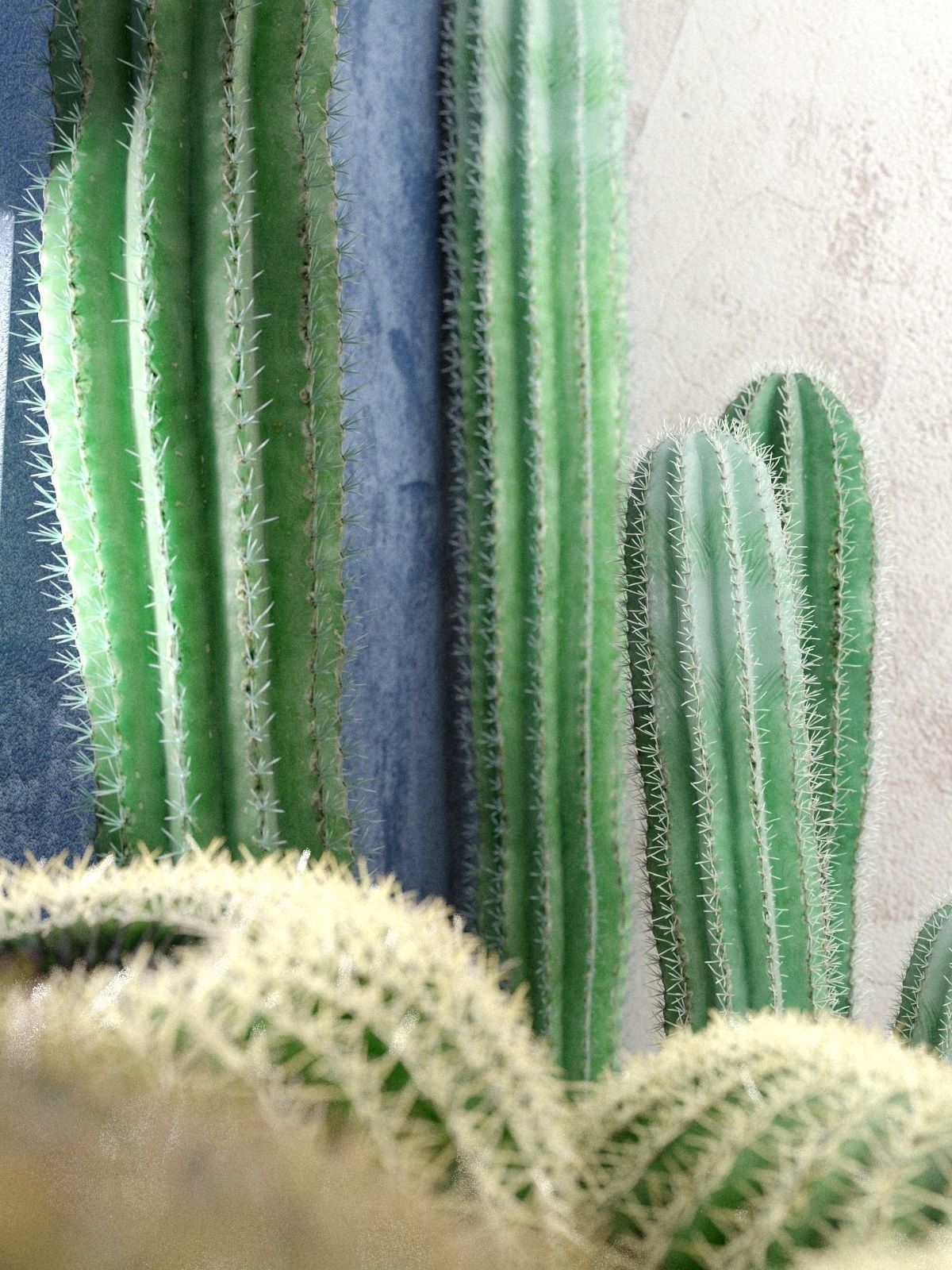 Saguaro and Golden Barrel Cactuses 3D model_2