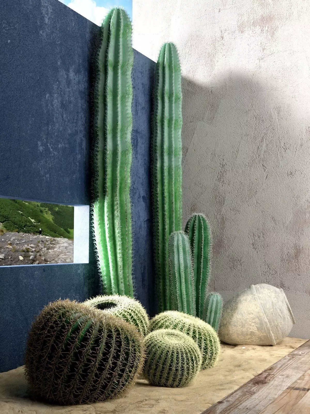 Saguaro and Golden Barrel Cactuses 3D model_0