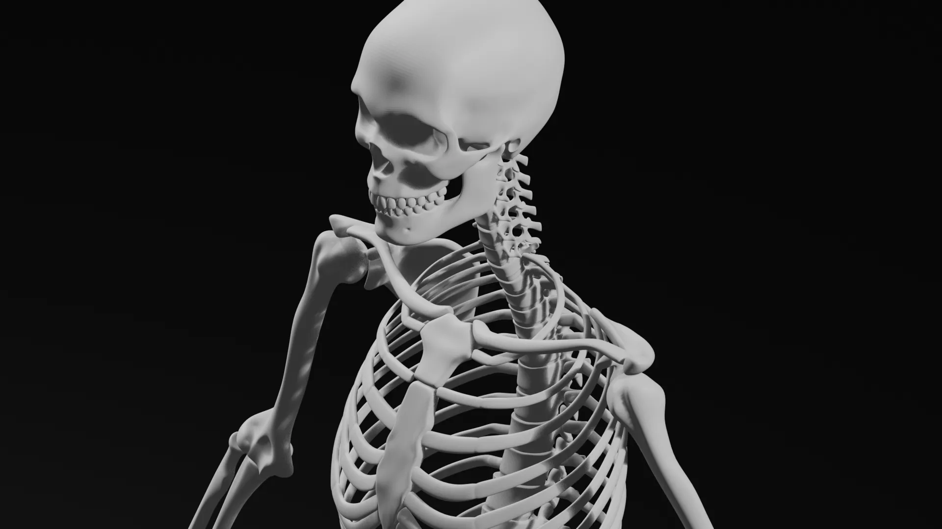 somplete skelten human body all bones 3D print model