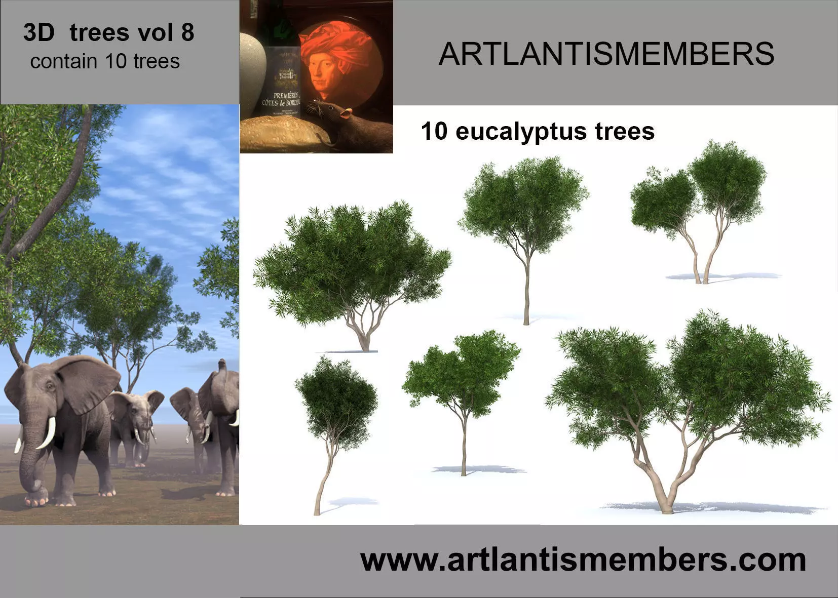 eucaliptus tree 3D model