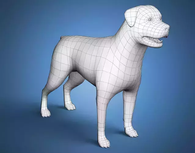 Rottweiler Dog Base Mesh 