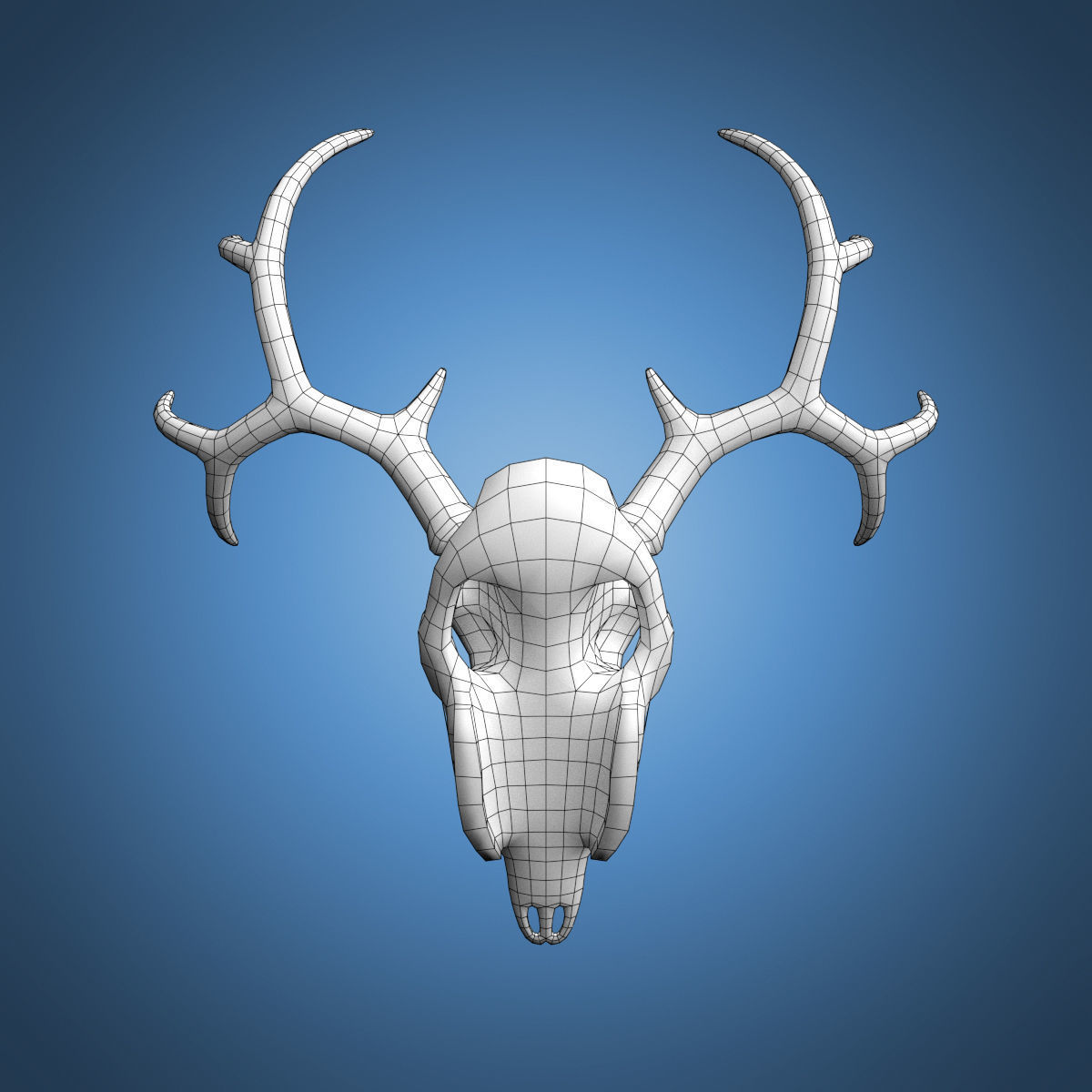 Deer Skull Base Mesh Low-poly 3D model_8