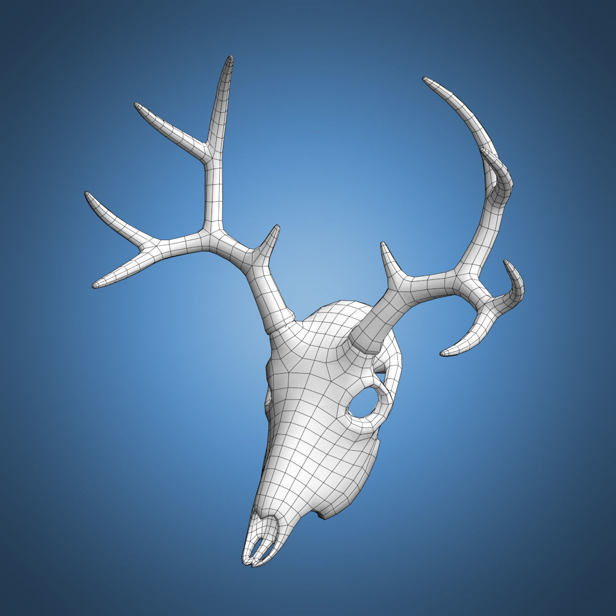 Deer Skull Base Mesh Low-poly 3D model_7