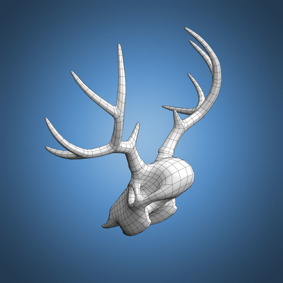 Deer Skull Base Mesh Low-poly 3D model_5