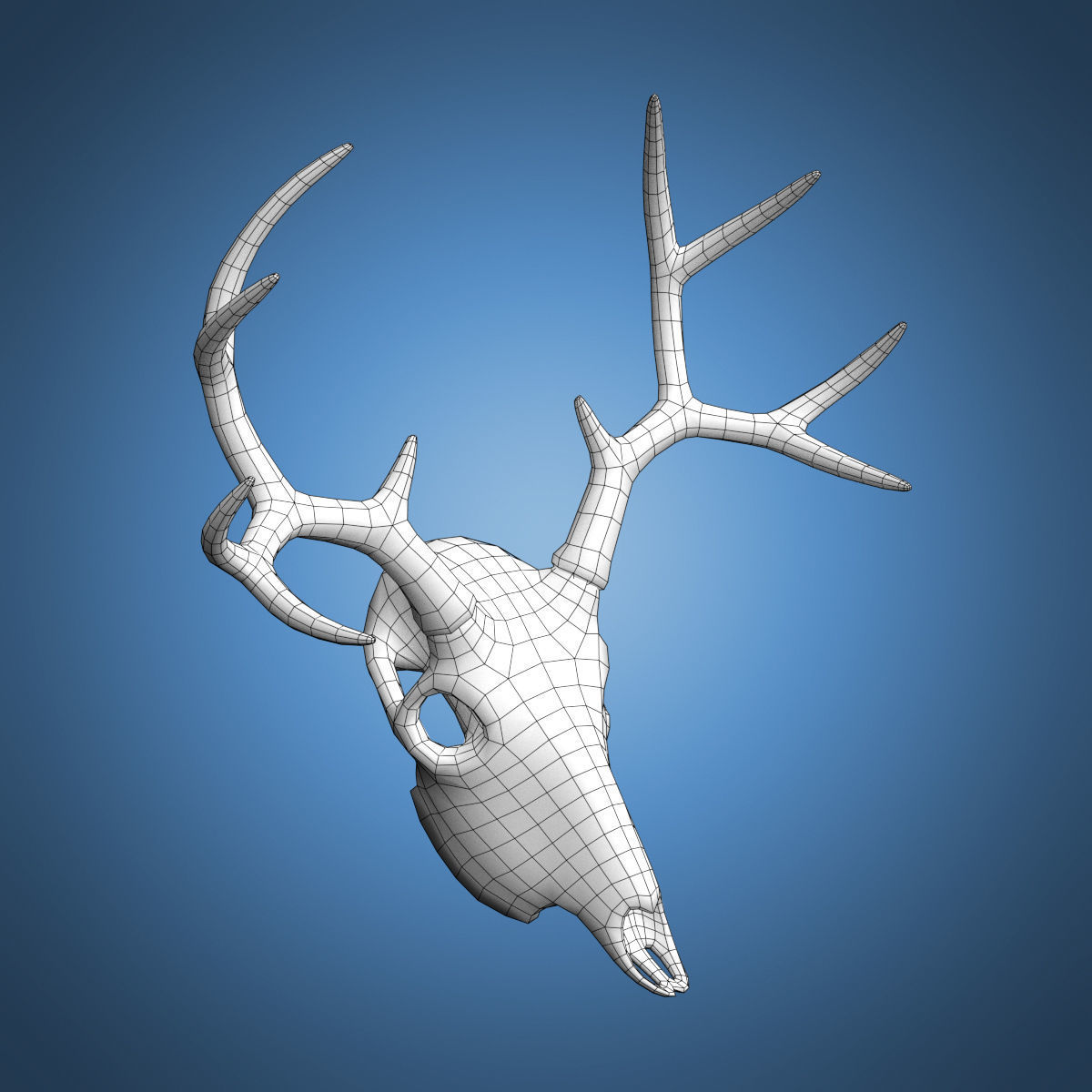 Deer Skull Base Mesh Low-poly 3D model_1