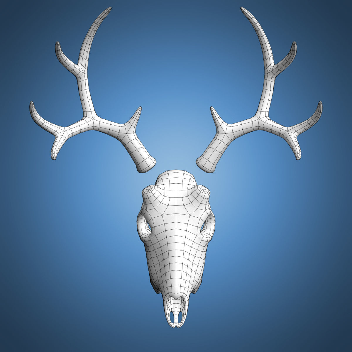 Deer Skull Base Mesh Low-poly 3D model_9