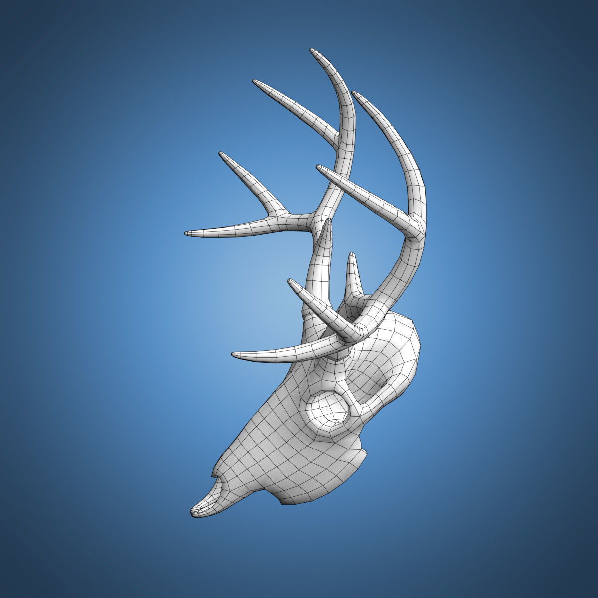 Deer Skull Base Mesh Low-poly 3D model_6
