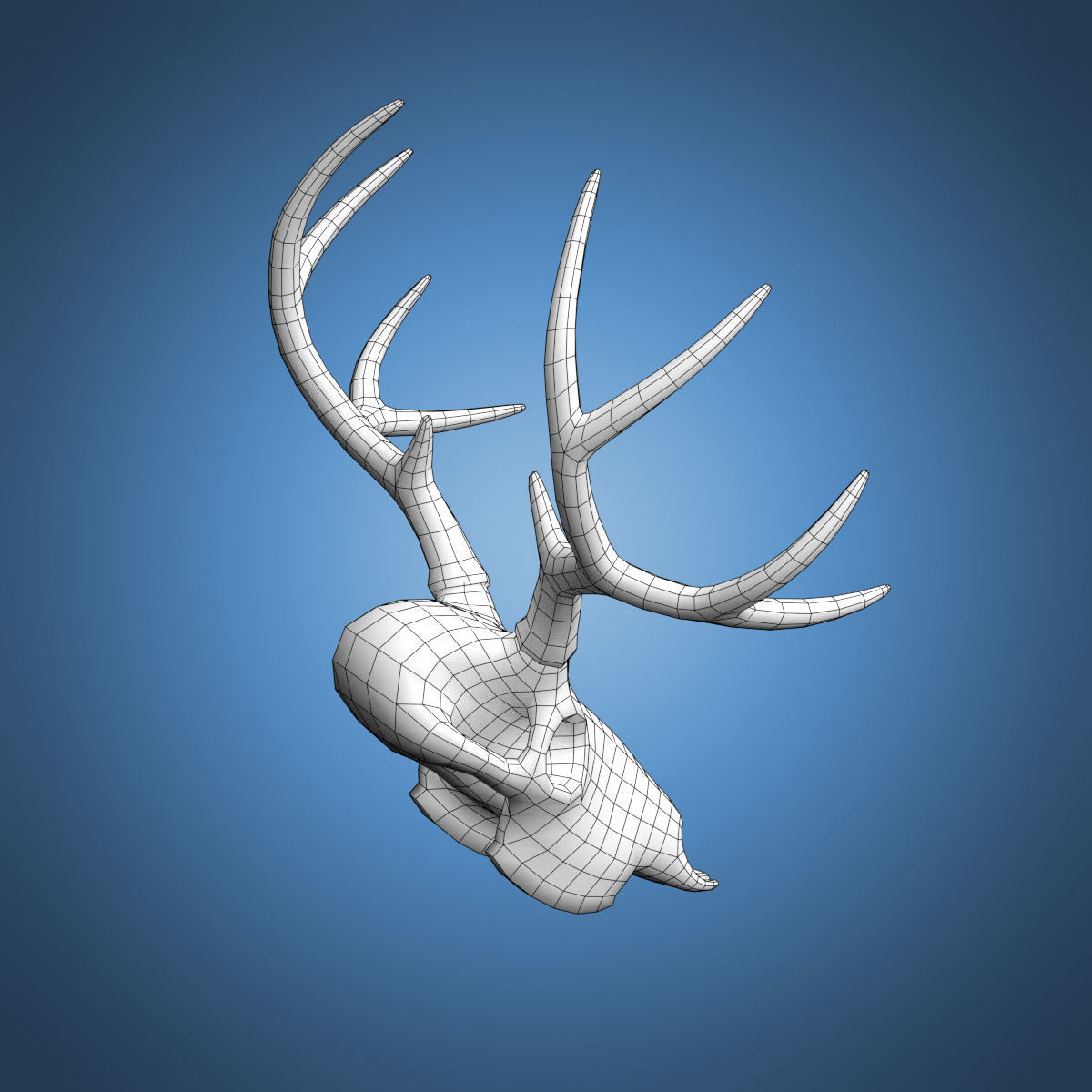 Deer Skull Base Mesh Low-poly 3D model_3