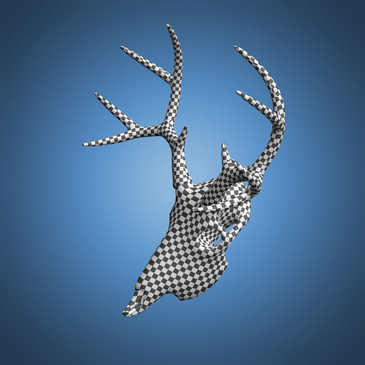Deer Skull Base Mesh Low-poly 3D model_10