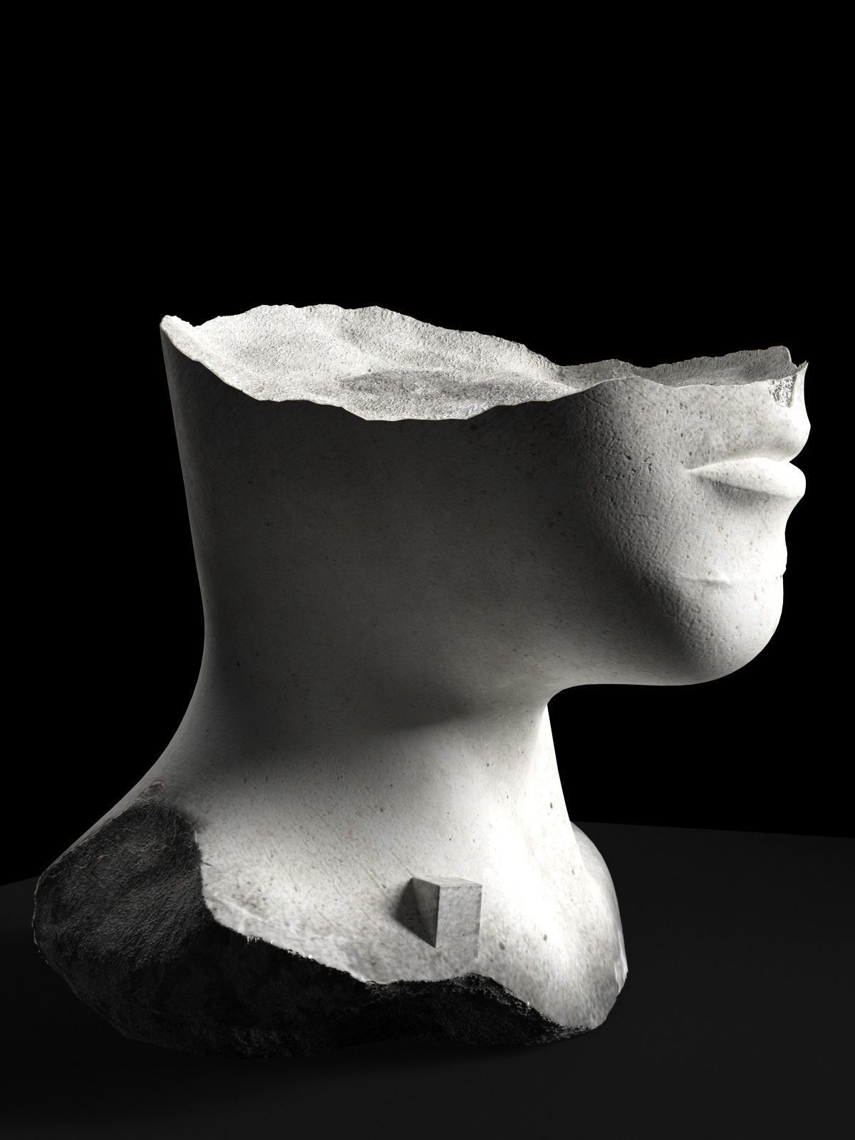 Orizzonte Bust 3D model_1