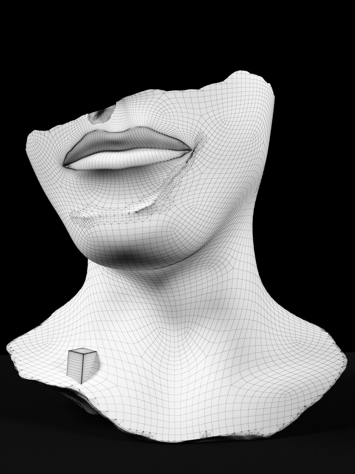 Orizzonte Bust 3D model_3