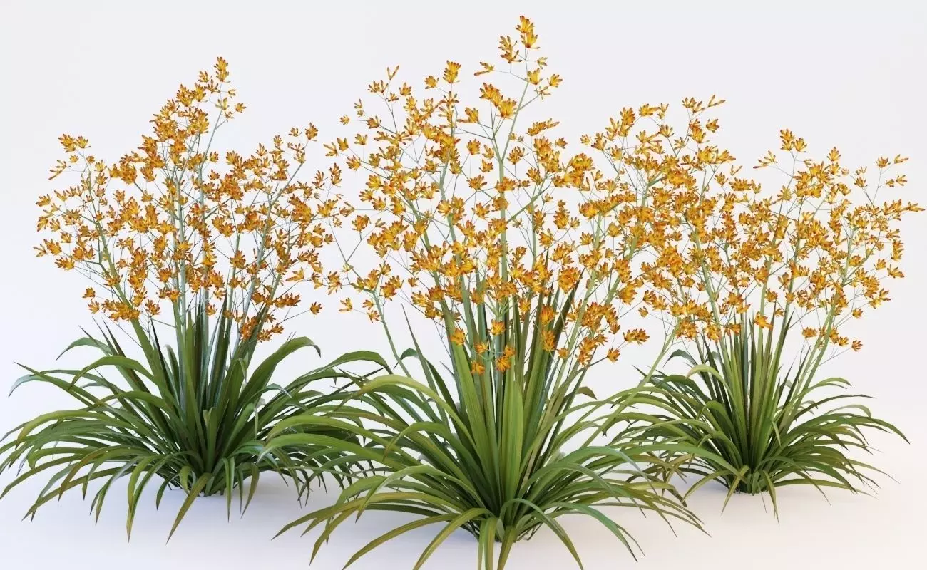 Plant orange flowers 3D model